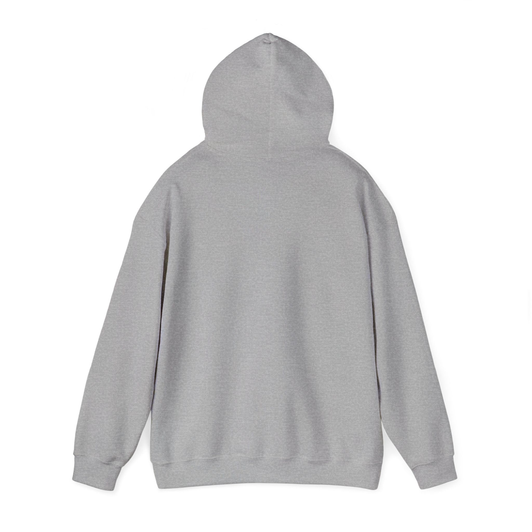 RISE DAILY Hooded Sweatshirt