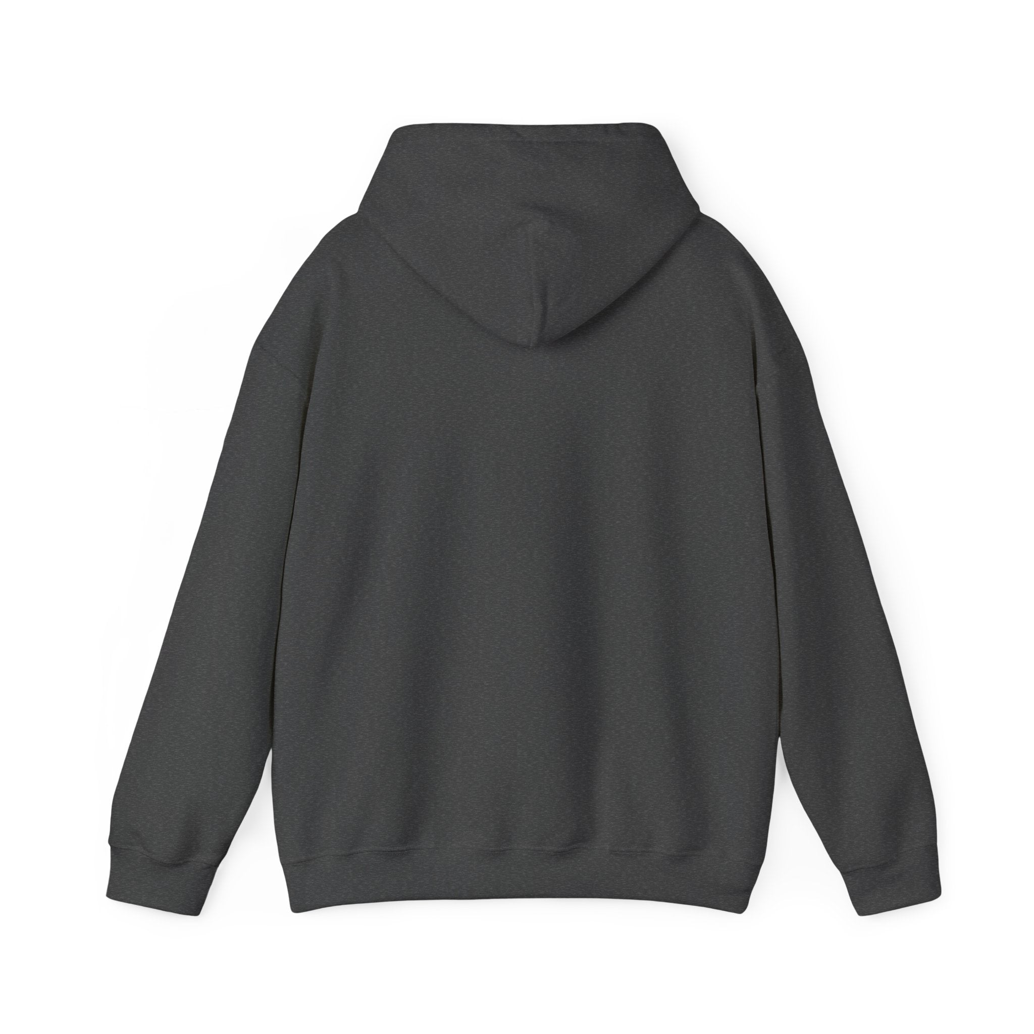 RISE DAILY Hooded Sweatshirt