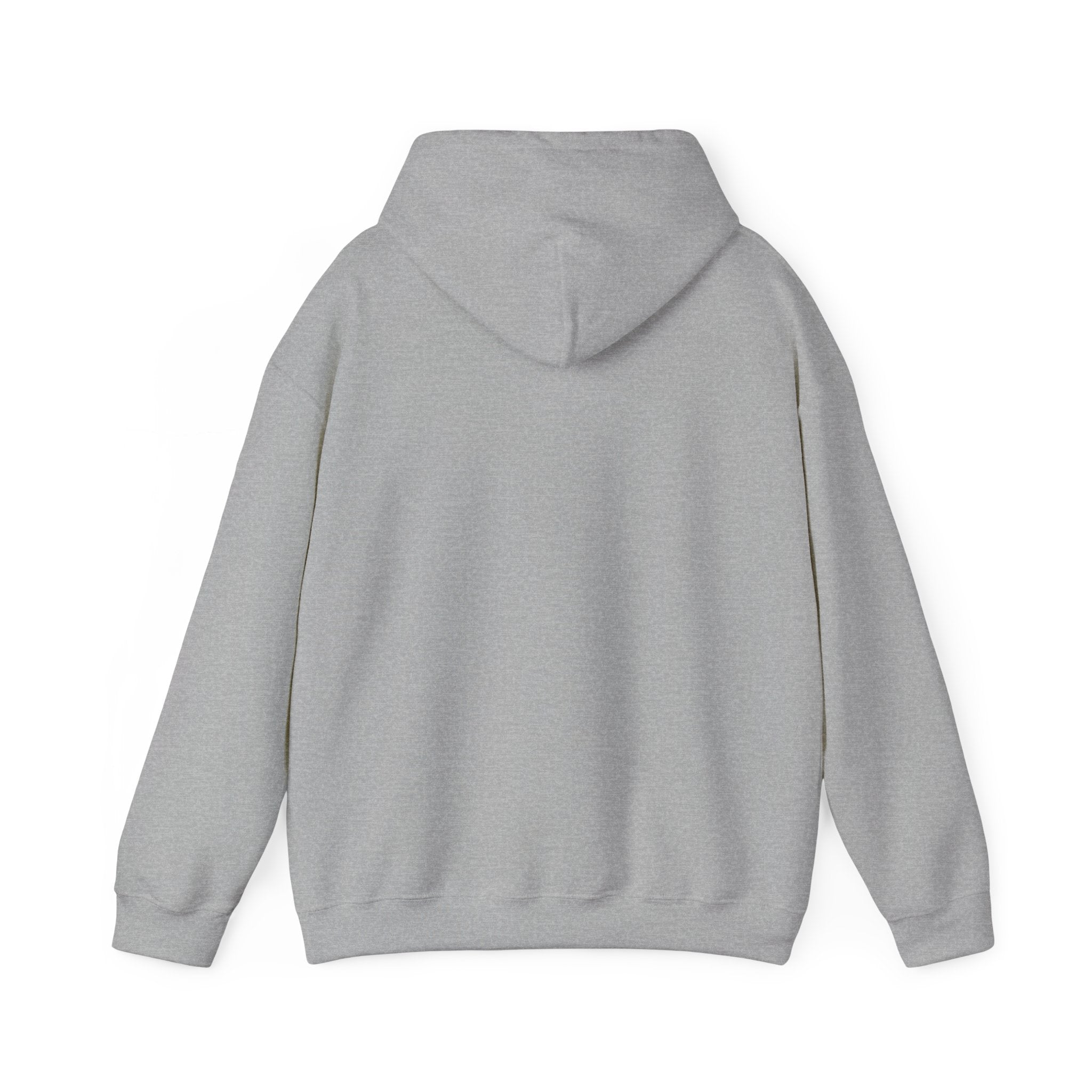 RISE DAILY Hooded Sweatshirt