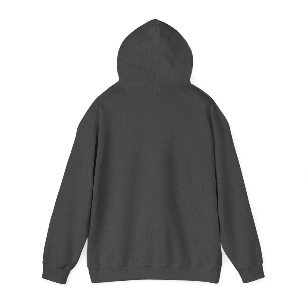 RISE DAILY Hooded Sweatshirt