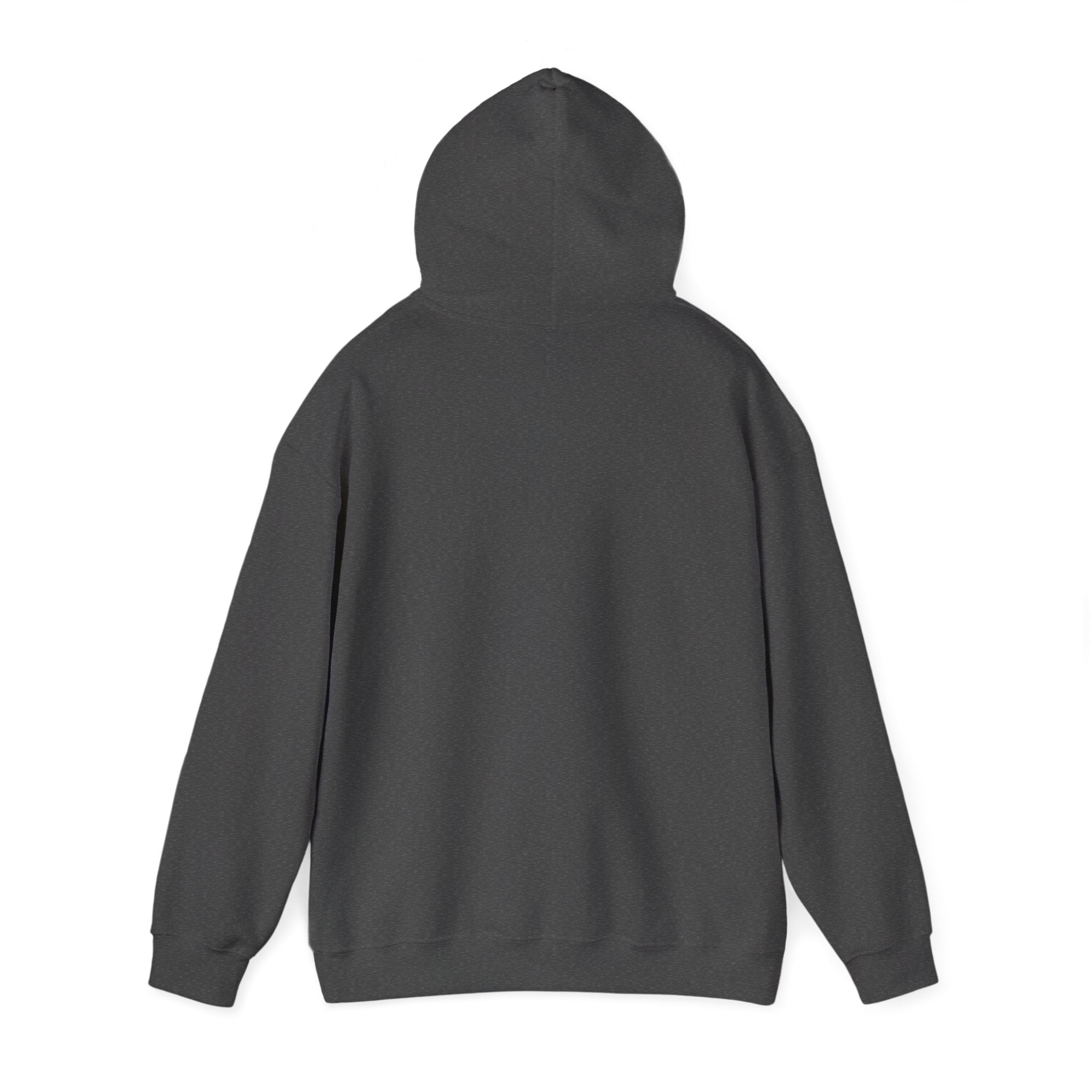 RISE DAILY Hooded Sweatshirt